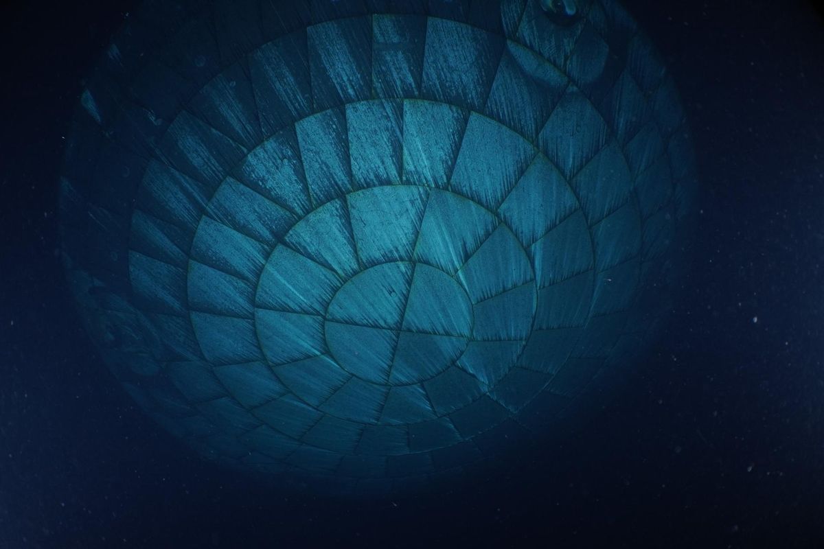 Murky blue-green underwater view of the round bottom of the Orion capsule, its heat shield’s block pattern visible