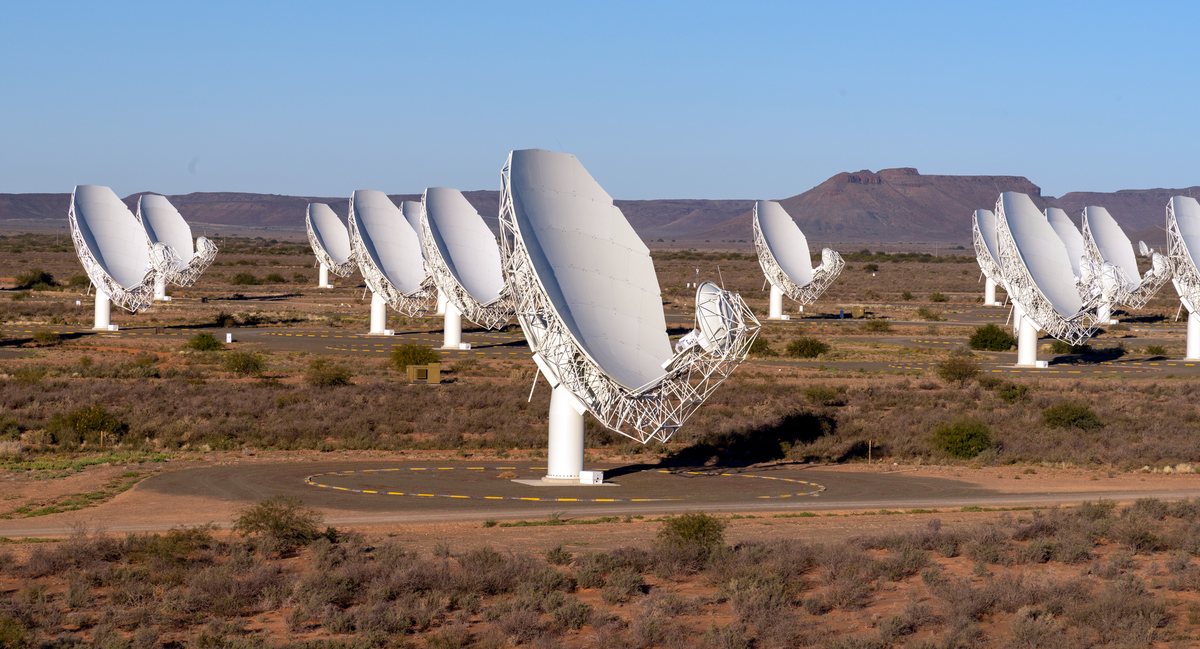 A row of large white MeerKAT radio dishes standing in dry, scrubby South African desert under a clear blue sky, with flat-topped hills behind