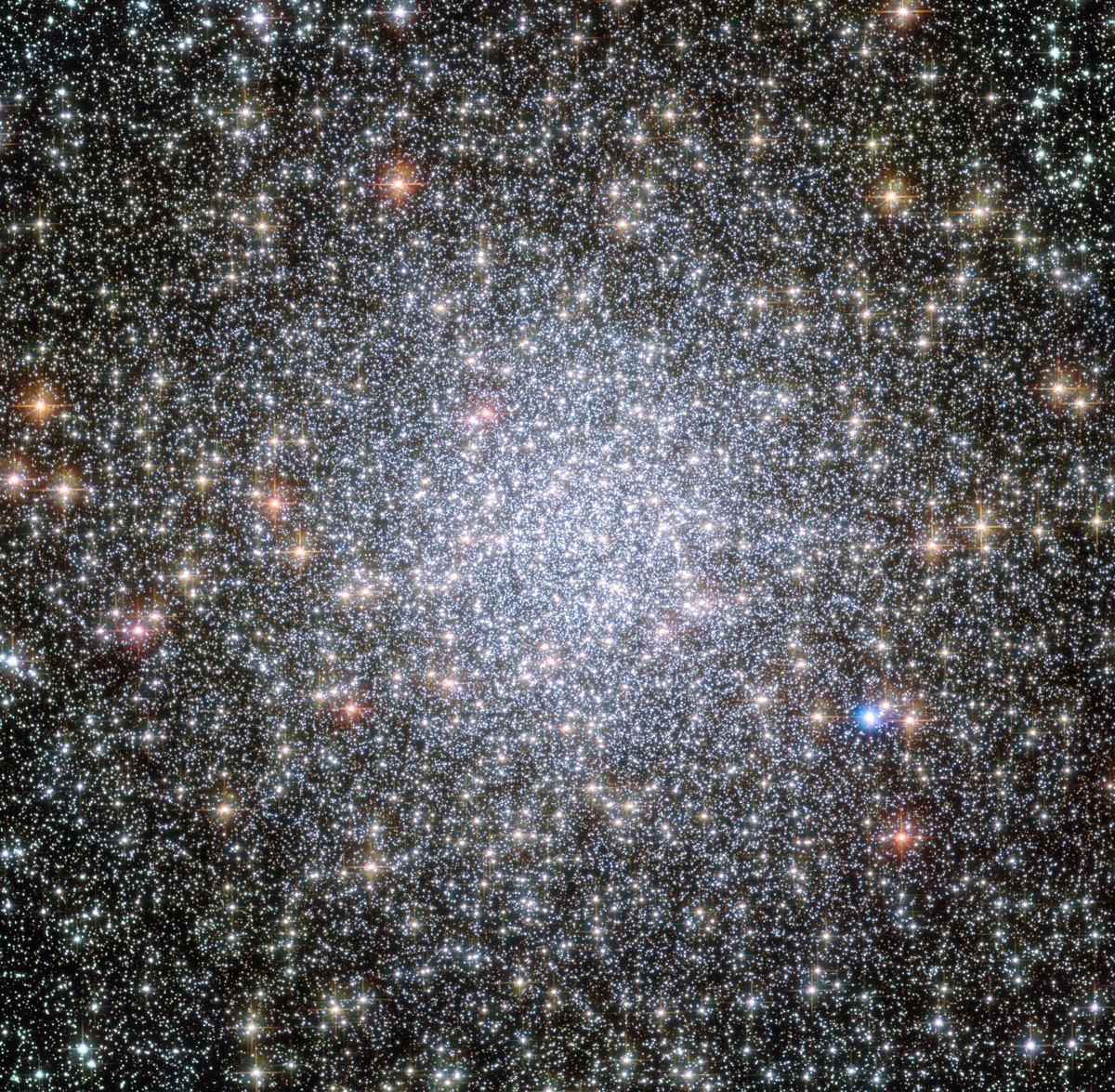 Hubble view of the dense globular star cluster 47 Tucanae, with young white dwarfs identified